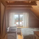 Osada Na Skale Dom Z Kominkiem I Sauna